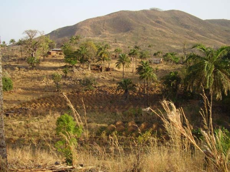 Champs, habitations et montagnes visibles depuis SOMDE