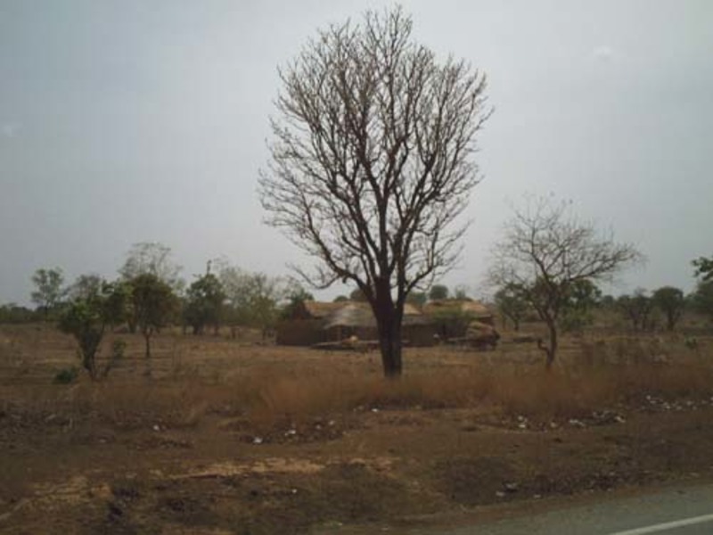 Habitations dans la région de la savane au Togo