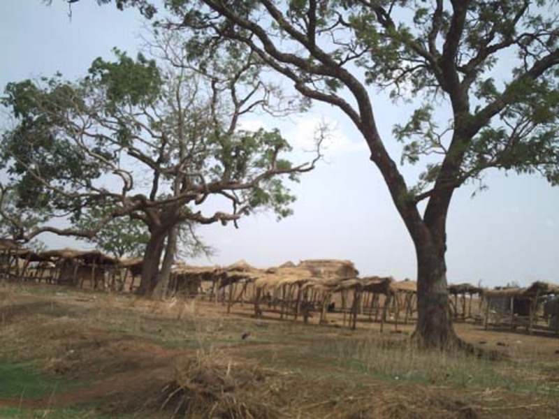 Un marché dans la région de la savane au Togo