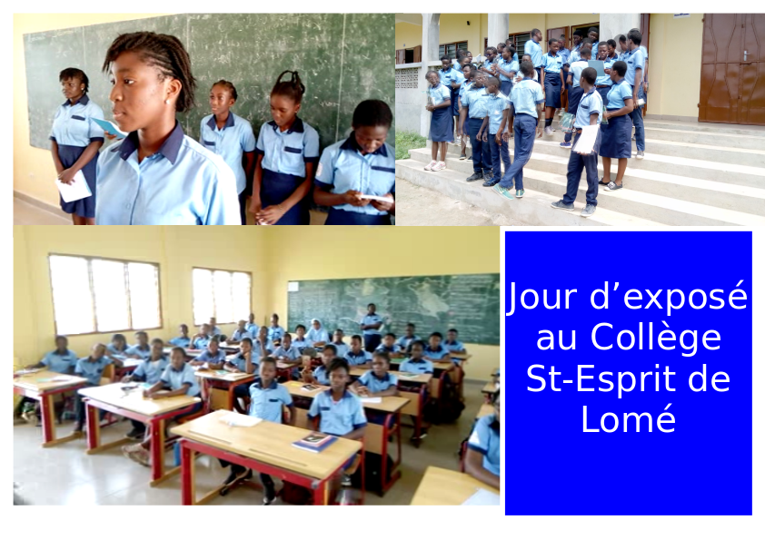 Exposé sur JOURNAL D'UNE BONNE au Collège St-Esprit de Lomé